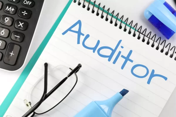 auditor